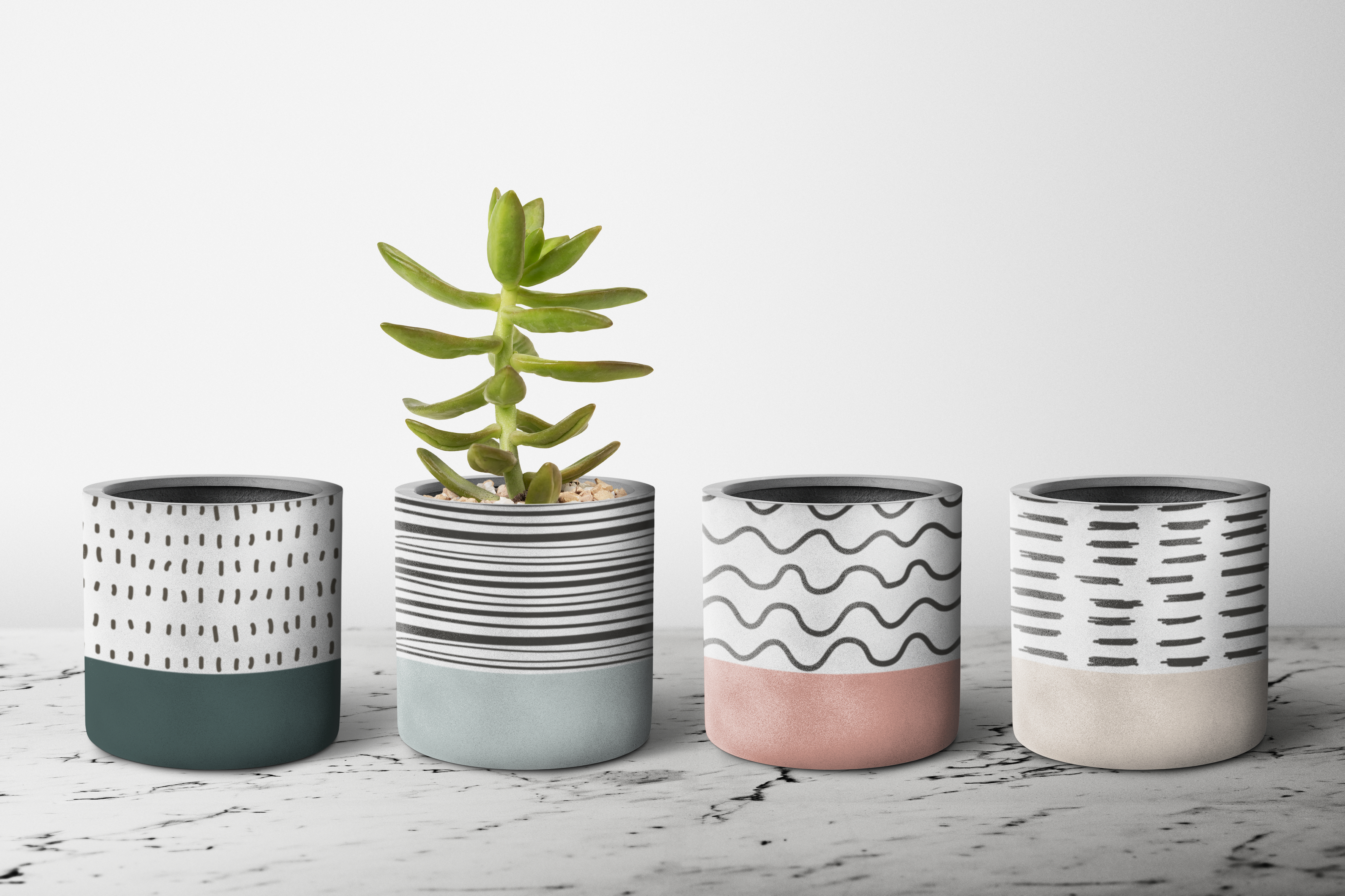 Plantes d'intérieur