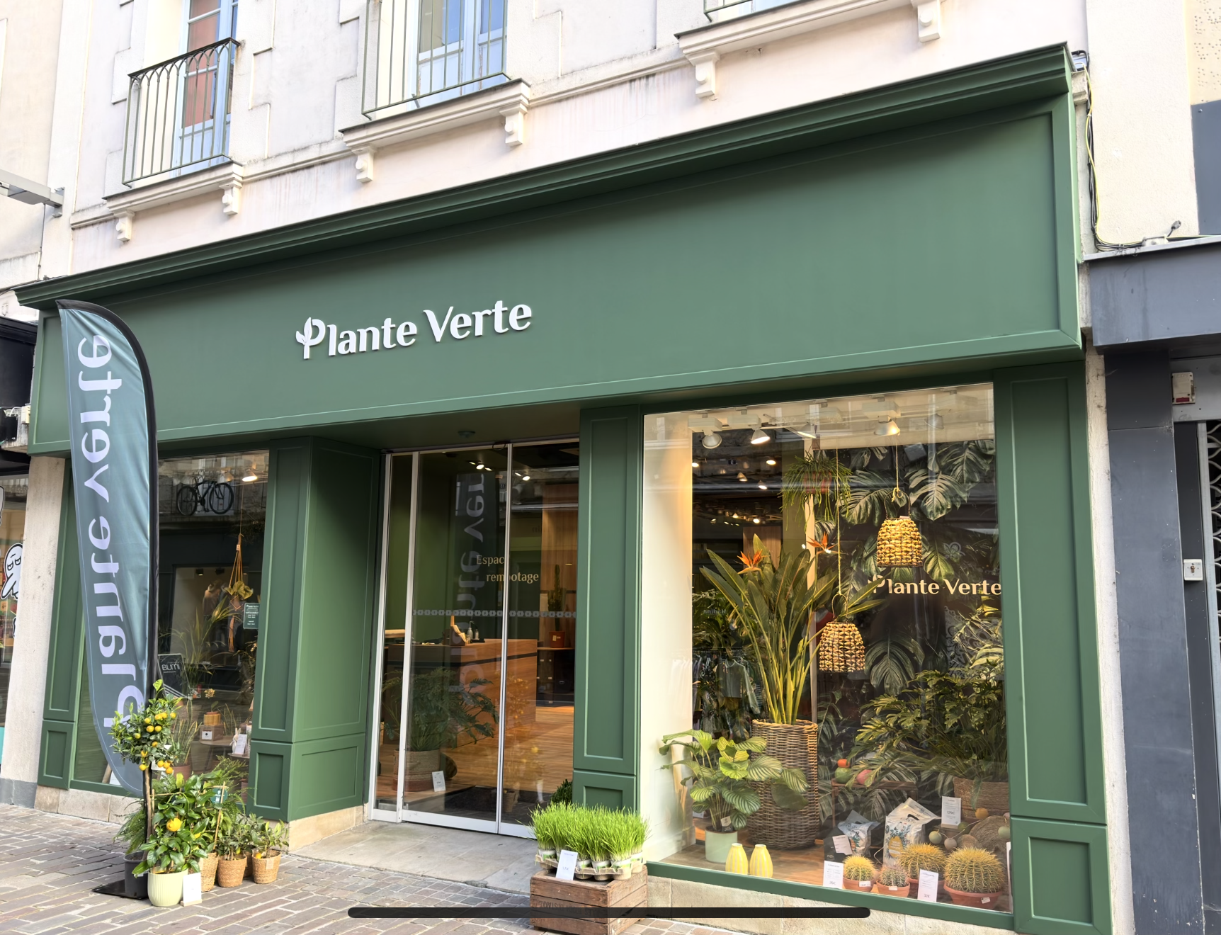 Plantes d'intérieur